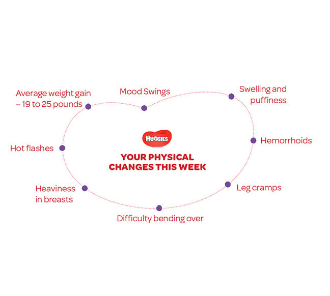 Your Physical Changes on 29th  week